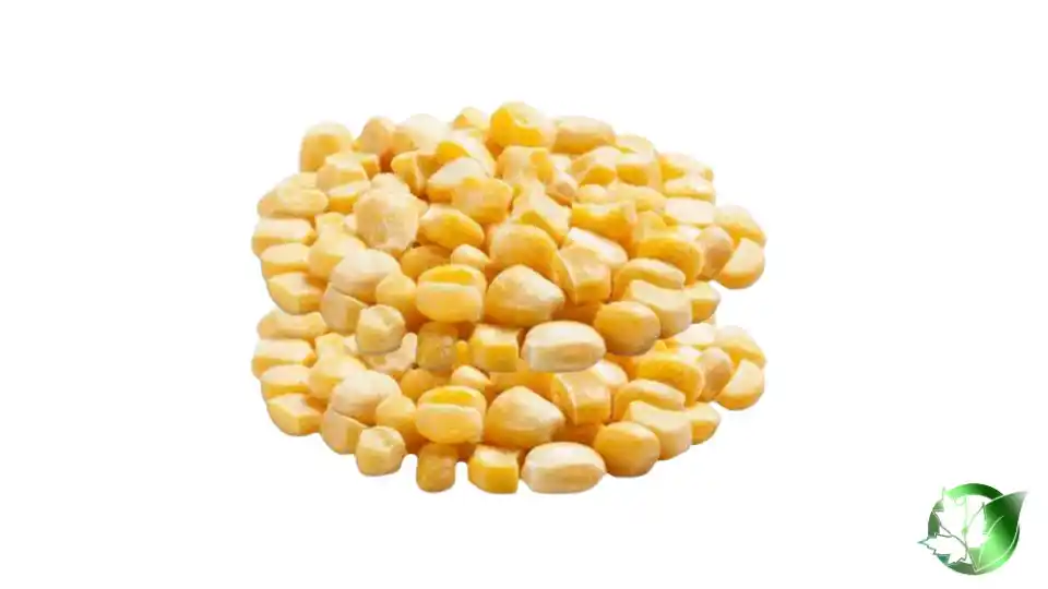 Bulk Frozen Sweet Corn | Suppliers | Wholesale | ParsaFood Global